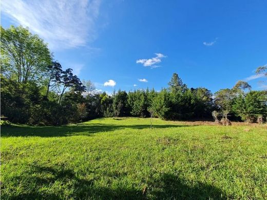 Grundstück in Rionegro, Departamento de Antioquia