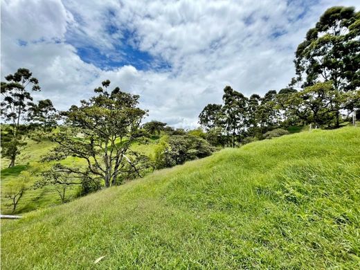 地皮  Carmen de Viboral, El Carmen de Viboral