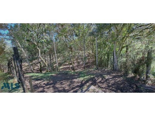 Участок, Rionegro, Departamento de Antioquia