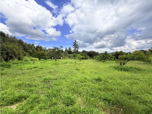 ‏קרקע ב  Rionegro, Departamento de Antioquia