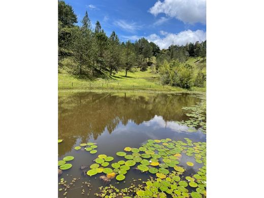Farmhouse in Rionegro, Departamento de Antioquia