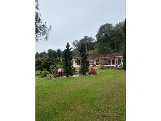Сельский Дом, La Ceja, Departamento de Antioquia