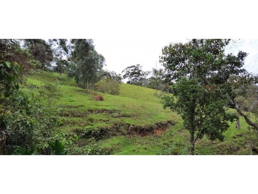 أرض ﻓﻲ La Ceja, Departamento de Antioquia