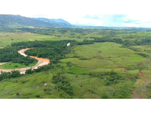 Boerderij in San Vicente del Caguán, Departamento del Caquetá
