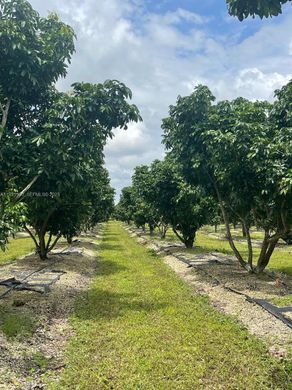 Villa a Homestead, Miami-Dade County