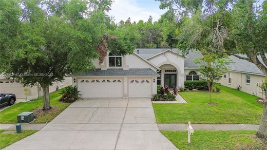 Villa a Tampa, Hillsborough County