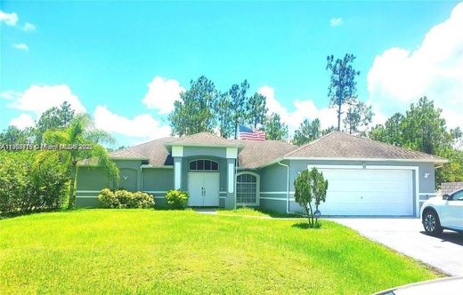 Villa a Naples, Collier County