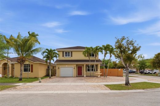 Вилла, Homestead, Miami-Dade County