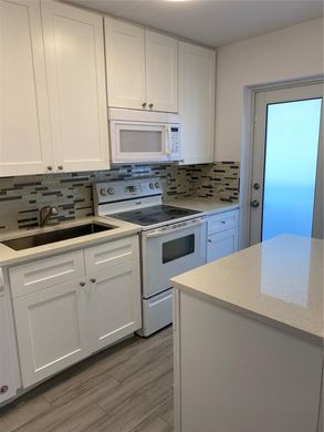 公寓楼  Lighthouse Point, Broward County