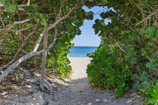 Residential complexes in Gulf Stream, Palm Beach