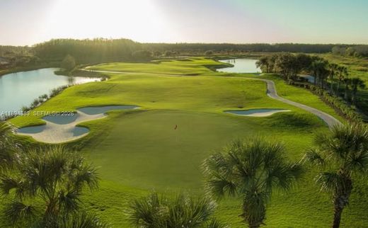 Вилла, Ave Maria, Collier County