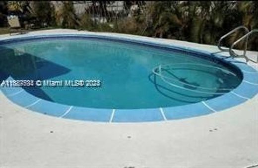 Villa Miami, Miami-Dade County