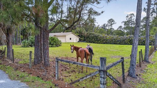 Villa The Acreage, Palm Beach County