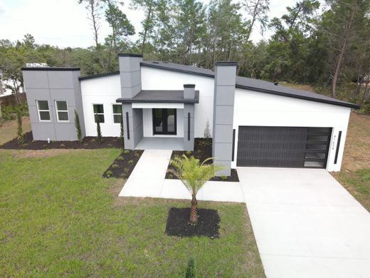 Villa in Eustis, Lake County