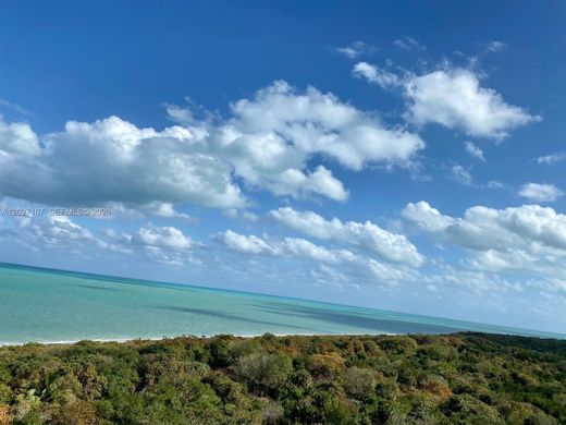 Residential complexes in Key Biscayne, Miami-Dade
