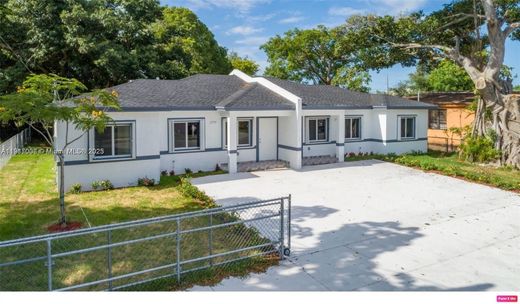 Willa w Miami Heights Trailer Park, Miami-Dade County