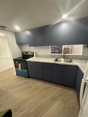 콘도미니엄 / 마이애미, Miami-Dade County