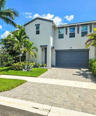 城市独宅  Westlake, Hillsborough County