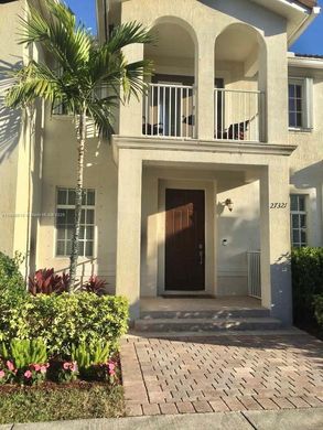 城市独宅  Homestead, Miami-Dade County