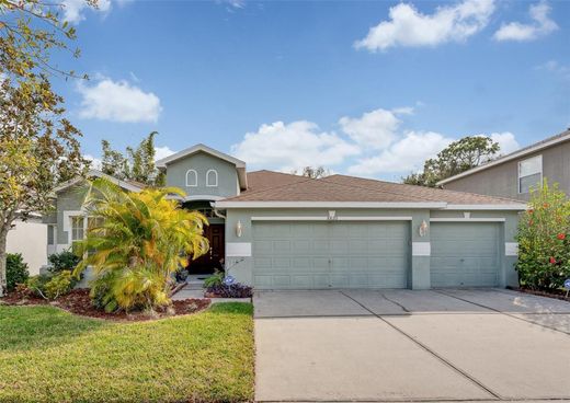 Villa in The Reserve of Old Tampa Bay, Hillsborough County