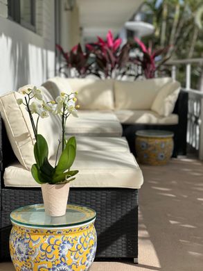 Residential complexes in Palm Beach, Florida