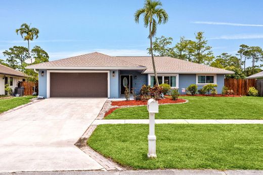 Вилла, Веллингтон, Palm Beach County