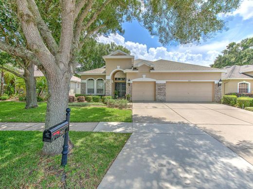 Villa in Valrico, Hillsborough County