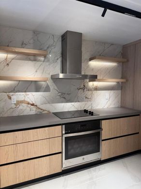 콘도미니엄 / 마이애미, Miami-Dade County