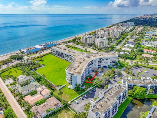 Komplex apartman Jupiter, Palm Beach County