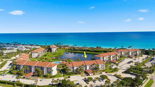Komplex apartman Jupiter, Palm Beach County