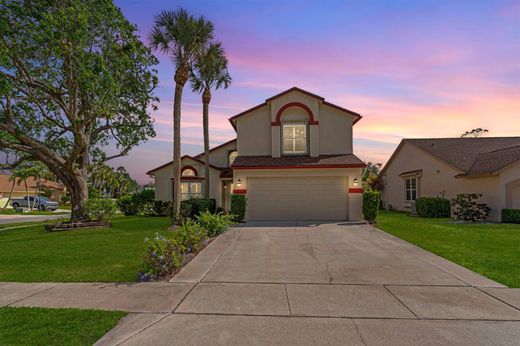 Villa in Wellington, Palm Beach