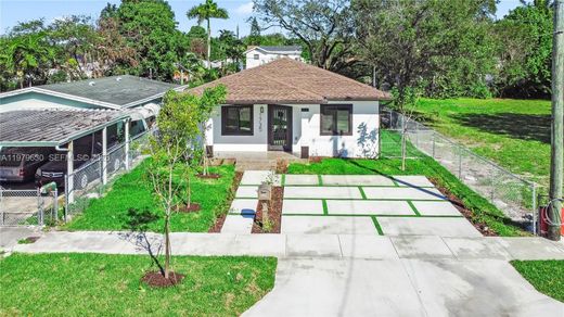 Willa w Miami Heights Trailer Park, Miami-Dade County