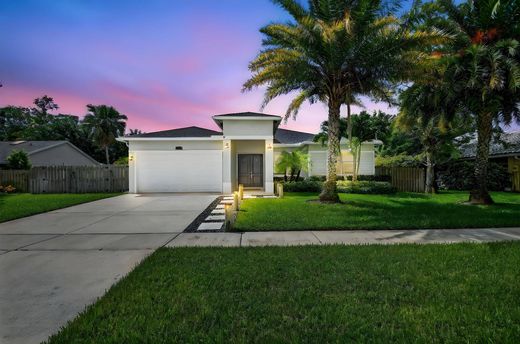 Вилла, Веллингтон, Palm Beach County