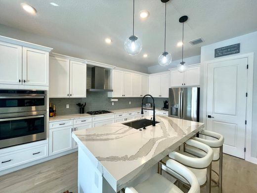 Βίλα σε Westlake, Hillsborough County