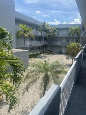 ハイアリア, Miami-Dade Countyのアパートメント・コンプレックス