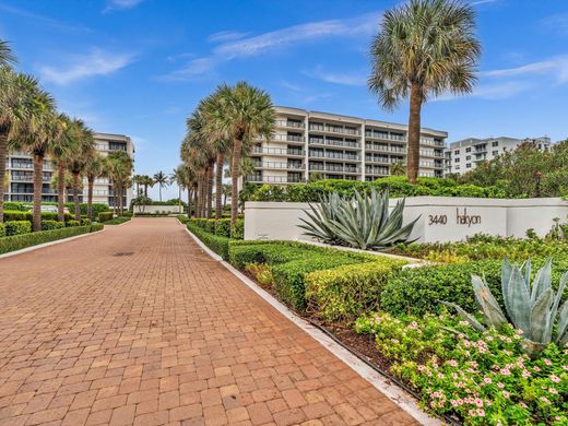 Жилой комплекс, Palm Beach, Palm Beach County