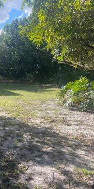 Willa w Hollywood, Broward County