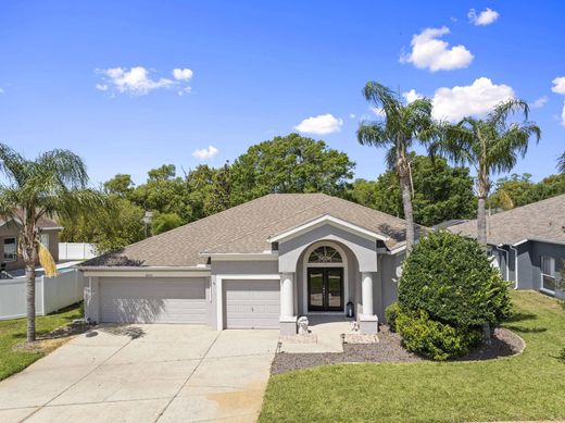 Villa en Land O' Lakes, Pasco County