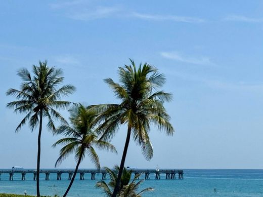 Residential complexes in Palm Beach, Florida