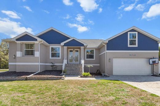 ‏וילה ב  Homosassa Springs, Citrus County