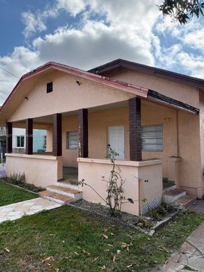 Willa w Miami Heights Trailer Park, Miami-Dade County