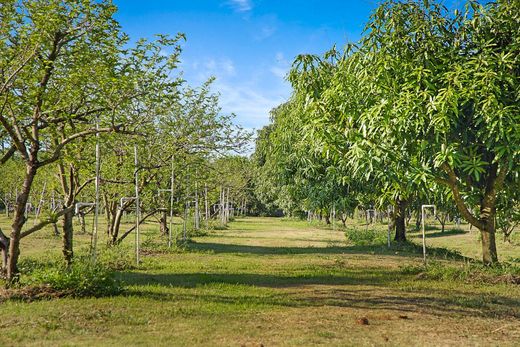 ‏וילה ב  Loxahatchee Groves, Palm Beach County