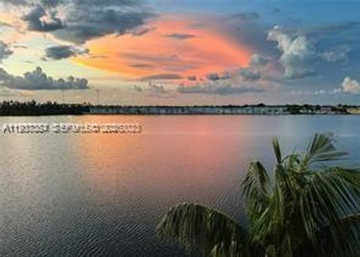 콘도미니엄 / 마이애미, Miami-Dade County