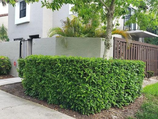 Townhouse in Miami, Miami-Dade