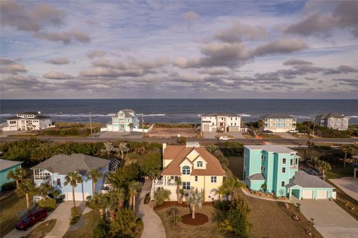 Willa w Flagler Beach, Flagler County