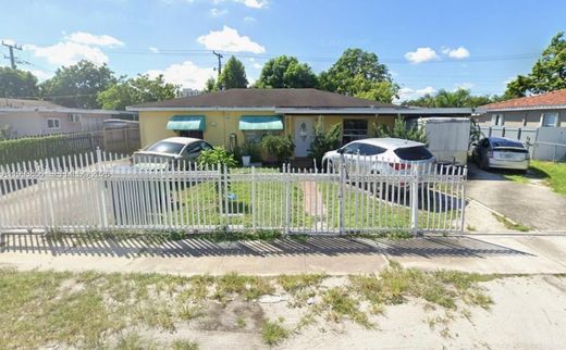 Willa w Miami Heights Trailer Park, Miami-Dade County
