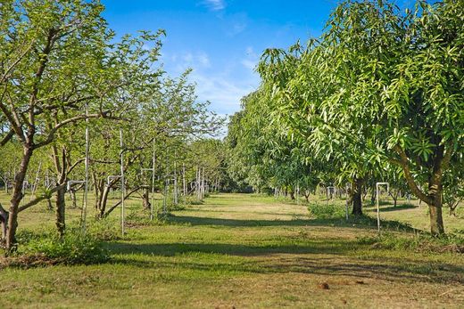 Villa Loxahatchee Groves, Palm Beach County