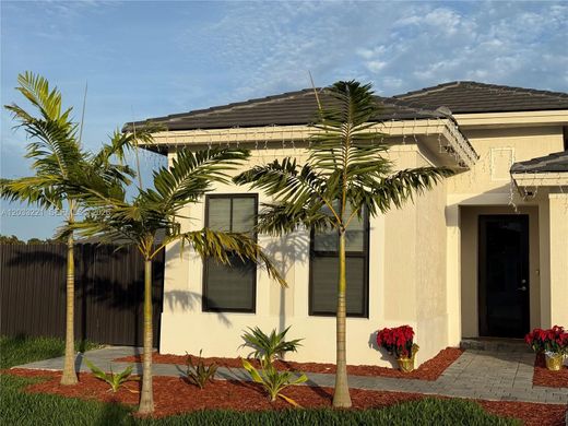 Residential complexes in Homestead, Miami-Dade