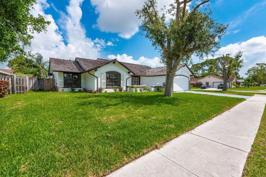 Willa w Wellington, Palm Beach County