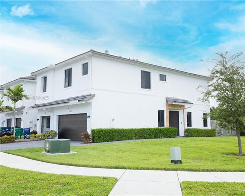 城市独宅  Homestead, Miami-Dade County